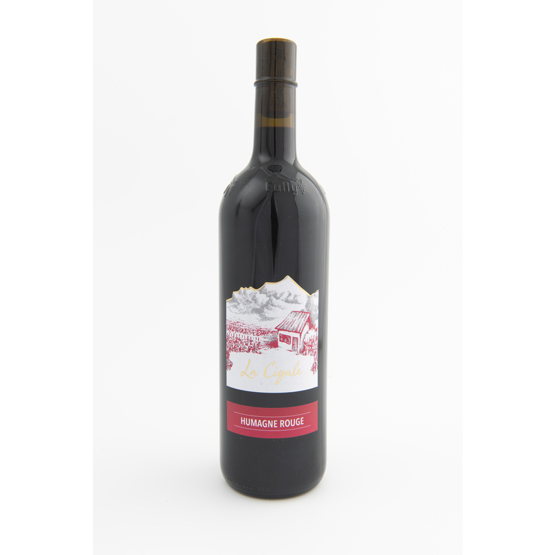 Merlot 2025 150 cl. Magnum