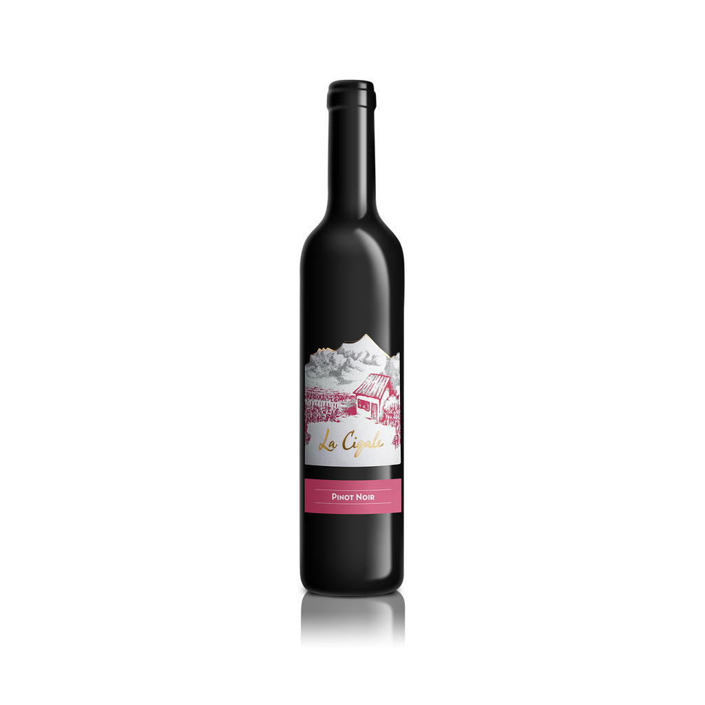 Pinot Noir 2023 50 cl.